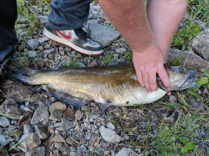 Hallowed Hills Picture 3