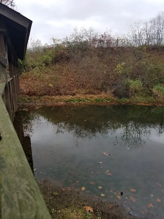 Hallowed Hills Picture 5