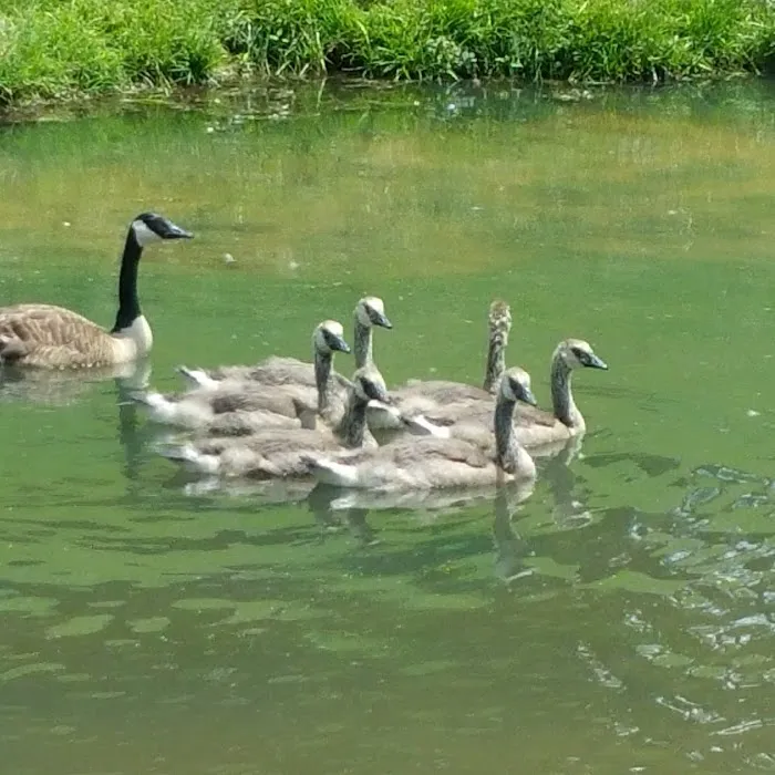 Hallowed Hills Picture 7