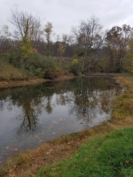 Hallowed Hills Picture 6