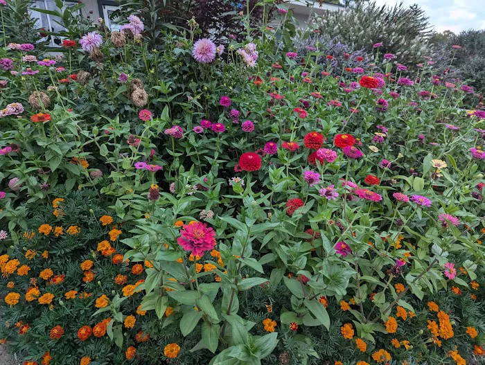 National Road Campground Picture 10