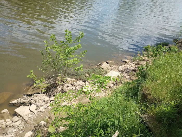 RiverView Kampground and Marina Picture 9