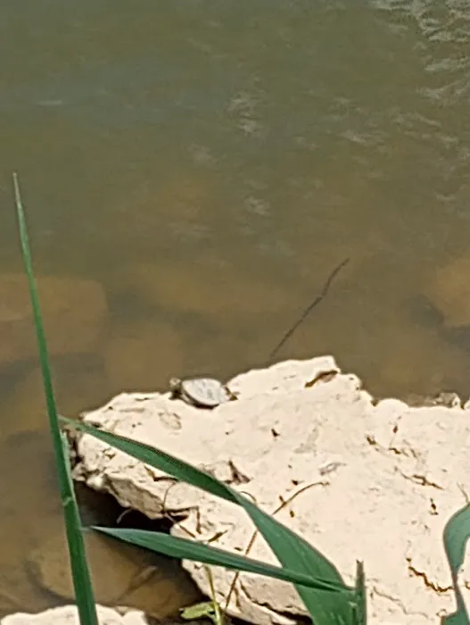 RiverView Kampground and Marina Picture 1