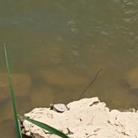 RiverView Kampground and Marina ico