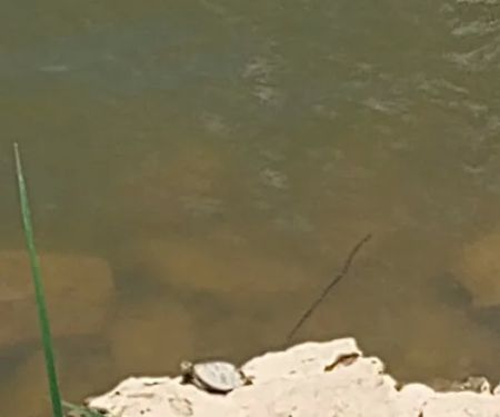 RiverView Kampground and Marina