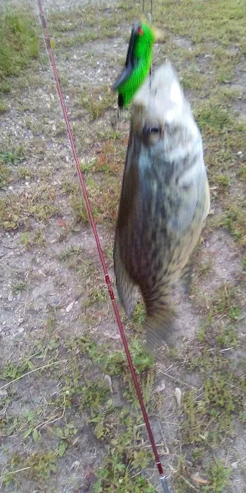 Maplewood Christian Campground Picture 1