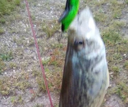 Maplewood Christian Campground