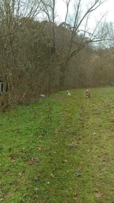 Maplewood Christian Campground Picture 3