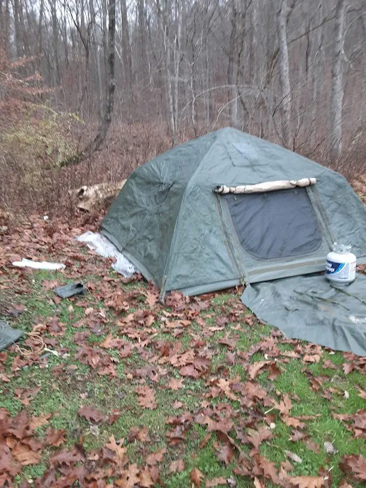 The Campground at Strouds Run State Park Picture 9