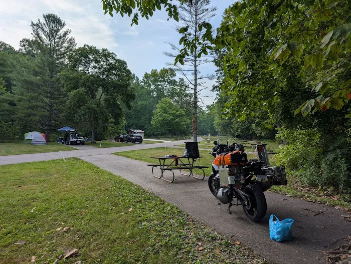 The Campground at Strouds Run State Park Picture 3
