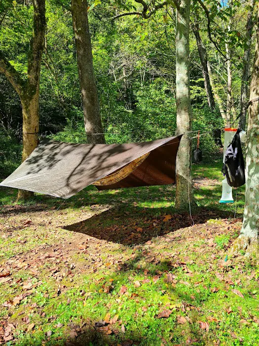 The Campground at Strouds Run State Park Picture 10