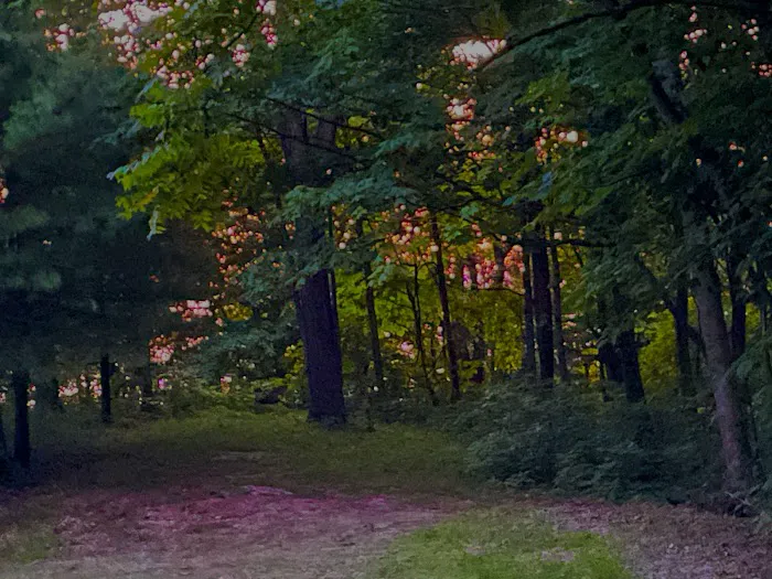 At Whispering Pines Ringgold Cabin Rental Picture 2