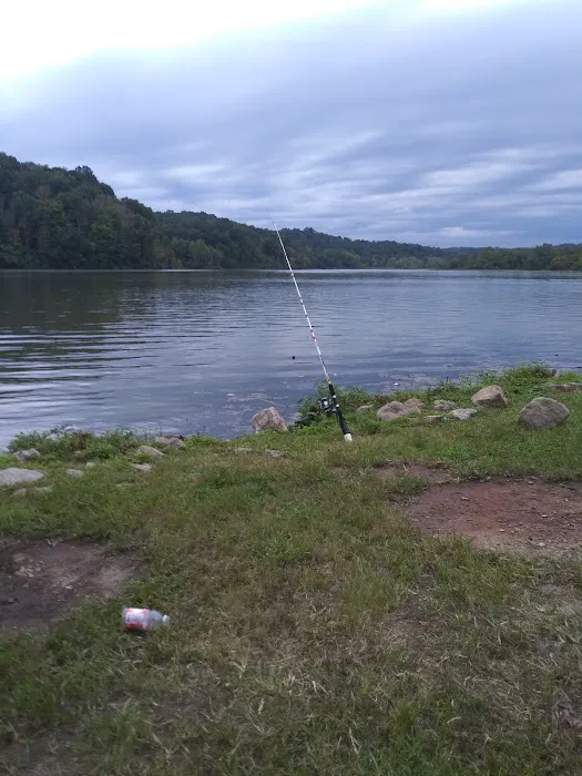 Dock Area #3 Picture 3