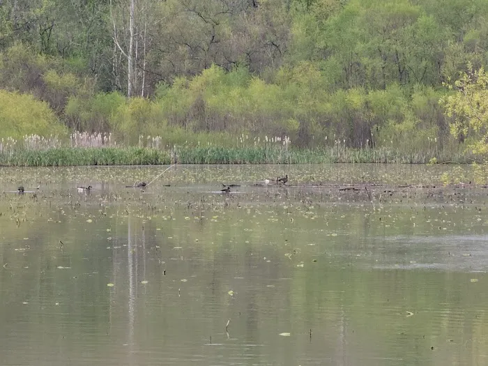 Dock Area #3 Picture 2