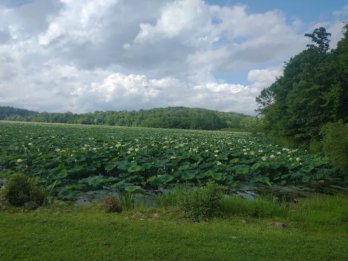 Dock Area #3 Picture 4