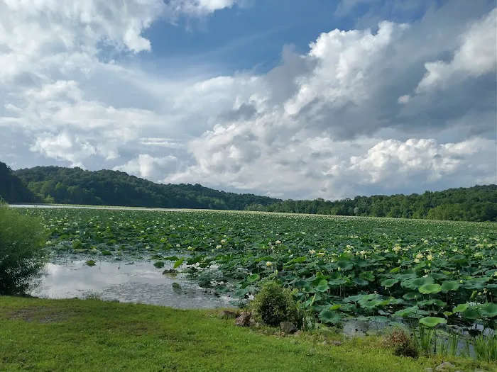 Dock Area #3 Picture 1