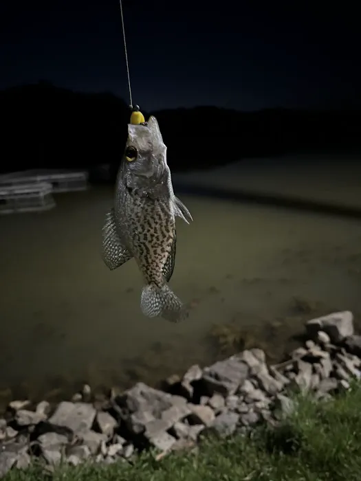 Dock Area #3 Picture 9