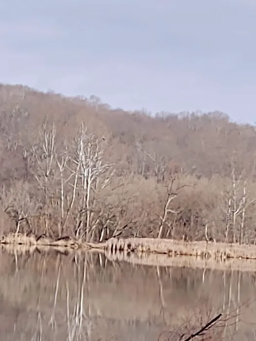 Dock Area #3 Picture 6