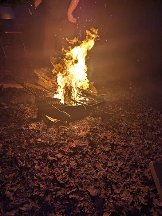 Equestrian Camp Picture 2