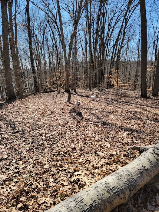 Equestrian Camp Picture 7
