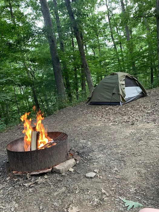 Equestrian Camp Picture 9
