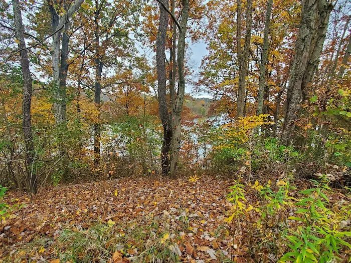 Equestrian Camp Picture 8