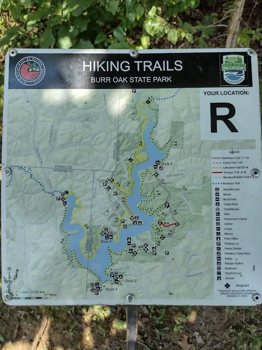 Primitive Campground Picture 6