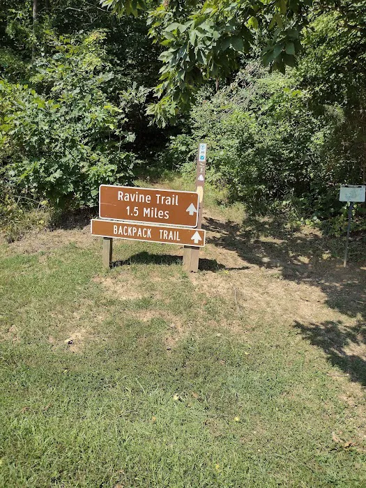 Primitive Campground Picture 3