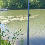 Primitive Campground