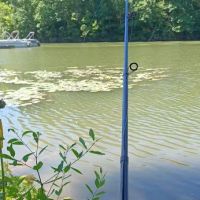 Primitive Campground ico