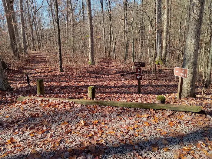 Burr Oak Cove Campground Picture 4