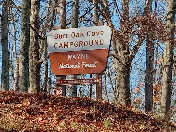 Burr Oak Cove Campground Picture 1