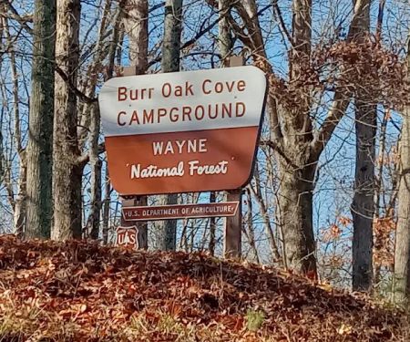 Burr Oak Cove Campground