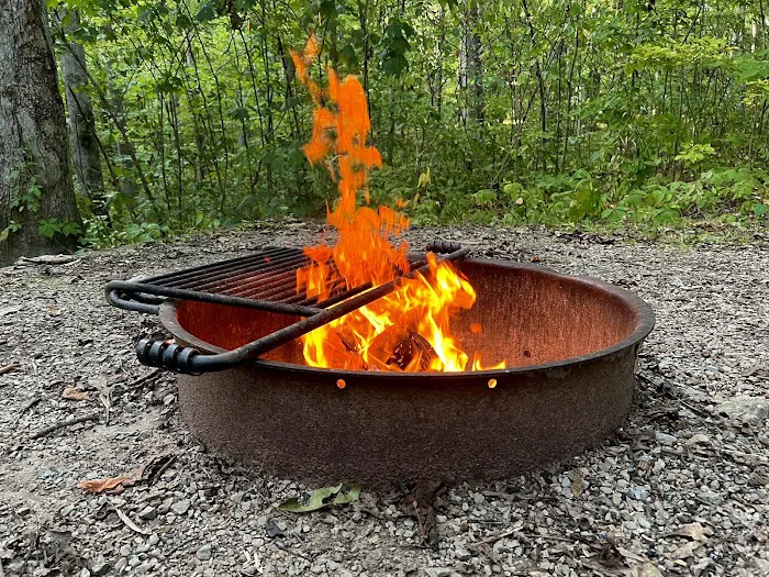 Burr Oak Cove Campground Picture 10