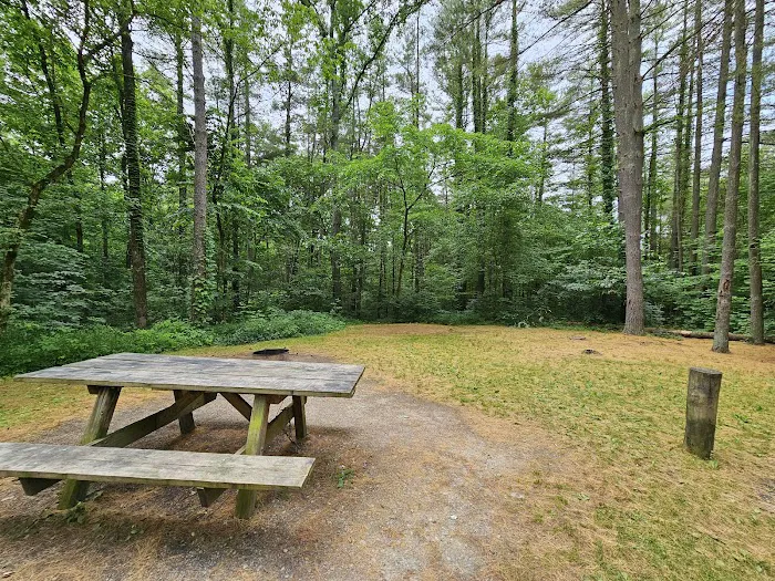 Burr Oak Cove Campground Picture 2