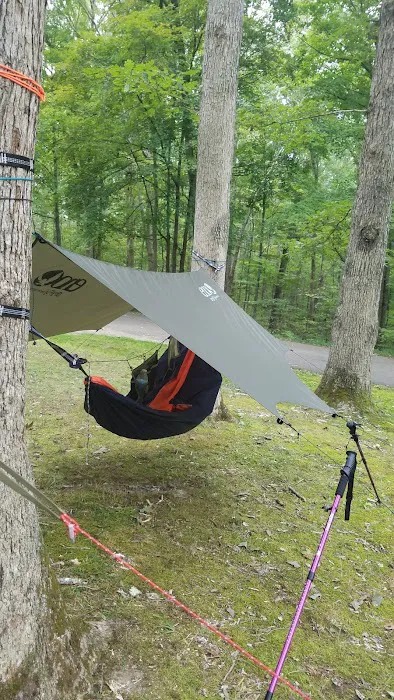 Burr Oak Cove Campground Picture 3