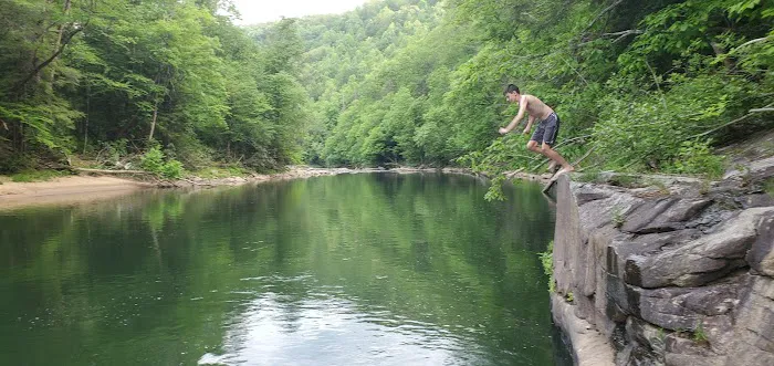 Cranberry Forest Farm Campground Picture 7