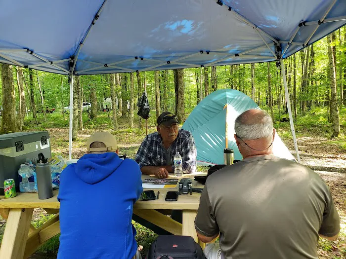 Bishop Knob Campground Picture 4