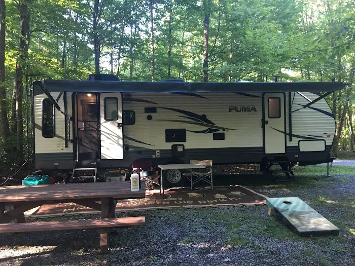 Bishop Knob Campground Picture 6