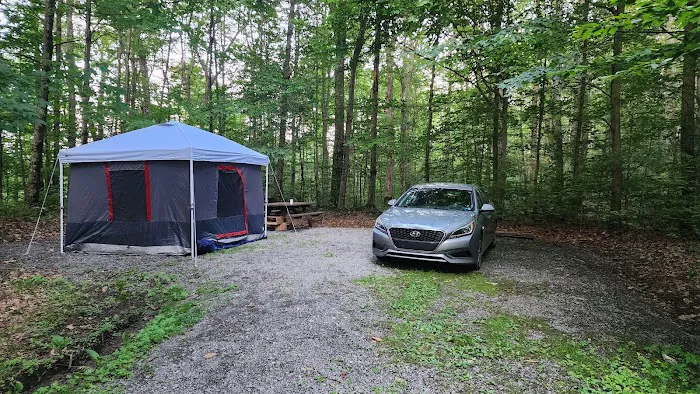 Bishop Knob Campground Picture 1