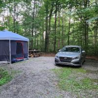 Bishop Knob Campground ico