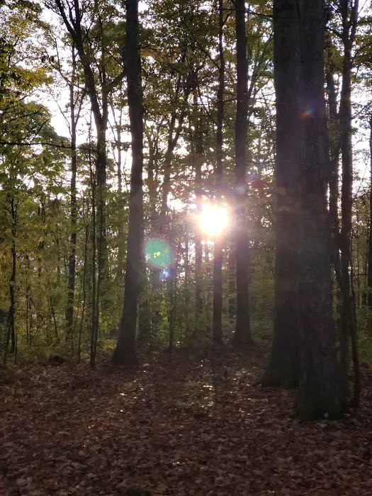 Bishop Knob Campground Picture 9