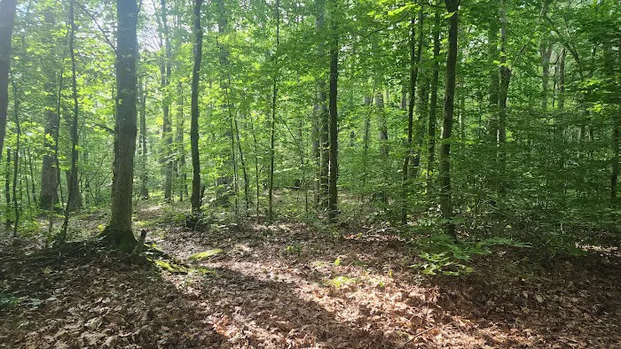 Bishop Knob Campground Picture 3