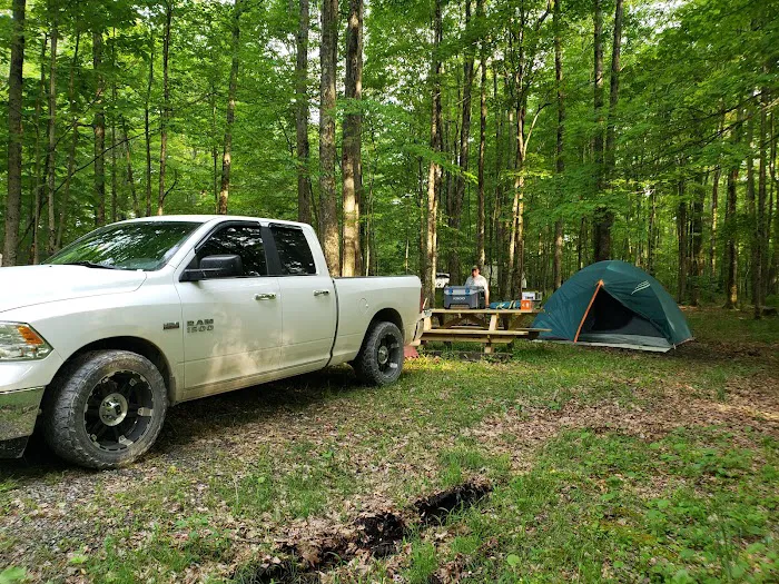 Bishop Knob Campground Picture 10