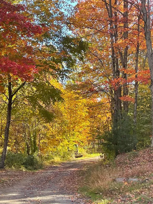 Beaver Lakes Campground Picture 9