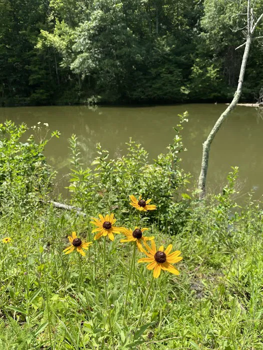 Beaver Lakes Campground Picture 10