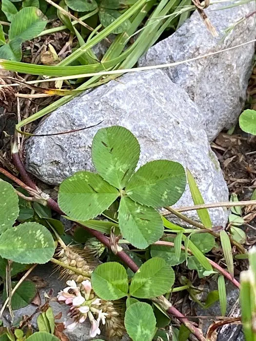Beaver Lakes Campground Picture 7