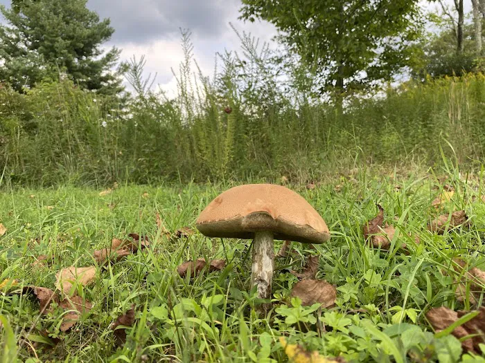 Beaver Lakes Campground Picture 6