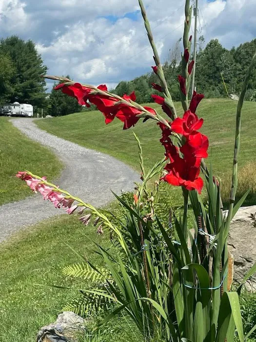 Beaver Lakes Campground Picture 2