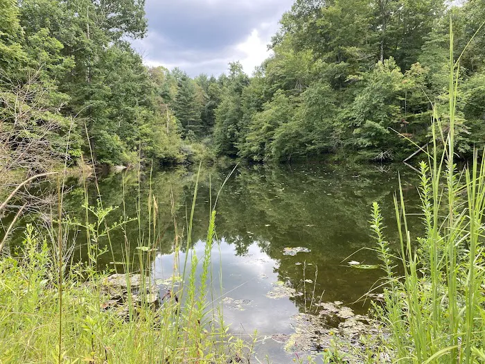 Beaver Lakes Campground Picture 3